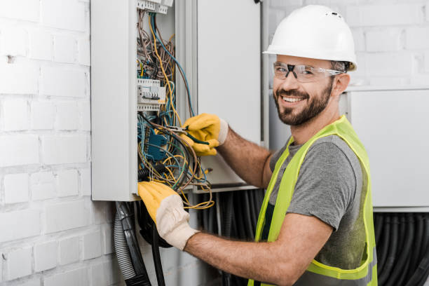 Best Electrical System Inspection  in Hebbronville, TX